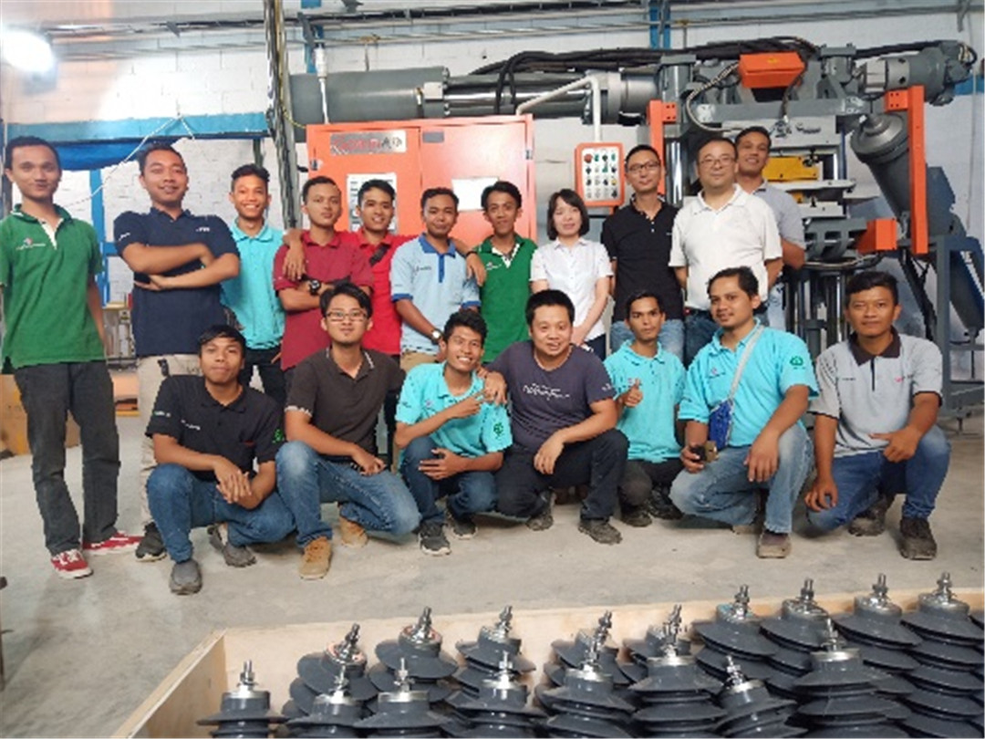 Celebrate the Establishment of GOWIN Overseas Website! (5)