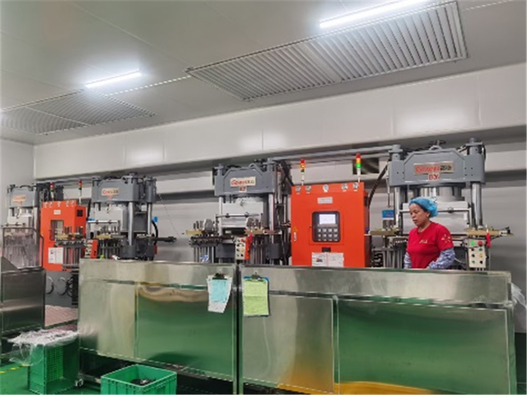 Celebrate the Establishment of GOWIN Overseas Website! (13)